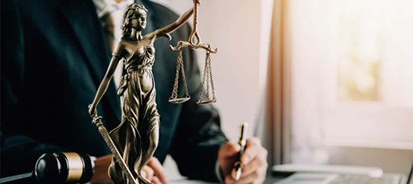 North Carolina Attorney License Defense Lawyer-image