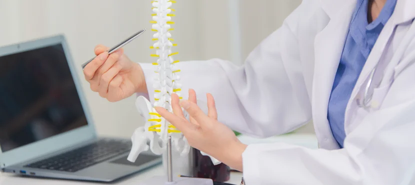 North Carolina Chiropractic License Defense Lawyer-image