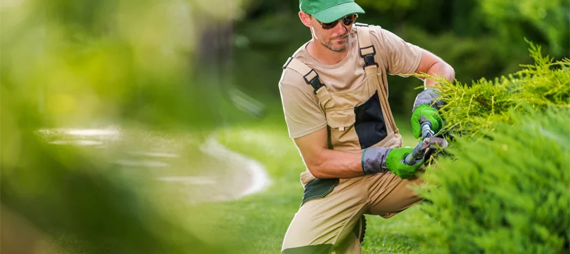 North Carolina Landscape Contractor License Defense Lawyer-image
