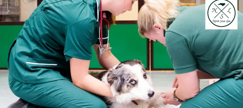 How to Defend Your Veterinary License and Rebuild Your Reputation in North Carolina After a Complaint?